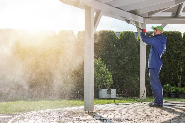 Best Residential Pressure Washing in Kalifornsky, AK